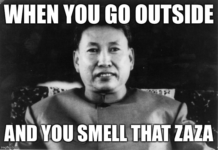 Pol Pot love | WHEN YOU GO OUTSIDE; AND YOU SMELL THAT ZAZA | image tagged in pol pot love | made w/ Imgflip meme maker