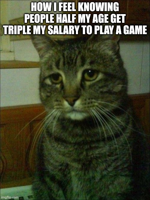 Youtubers |  HOW I FEEL KNOWING PEOPLE HALF MY AGE GET TRIPLE MY SALARY TO PLAY A GAME | image tagged in memes,depressed cat,money,youtuber | made w/ Imgflip meme maker