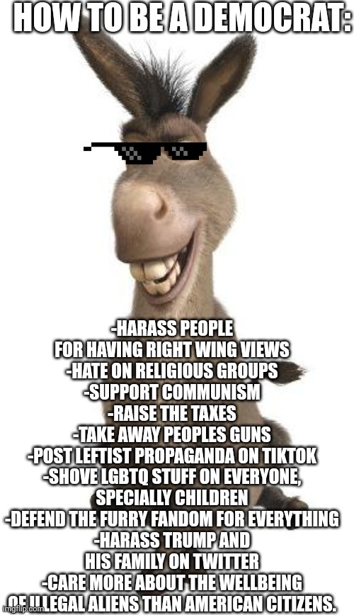 Donkey from Shrek | HOW TO BE A DEMOCRAT: -HARASS PEOPLE FOR HAVING RIGHT WING VIEWS
-HATE ON RELIGIOUS GROUPS
-SUPPORT COMMUNISM
-RAISE THE TAXES
-TAKE AWAY PE | image tagged in donkey from shrek | made w/ Imgflip meme maker