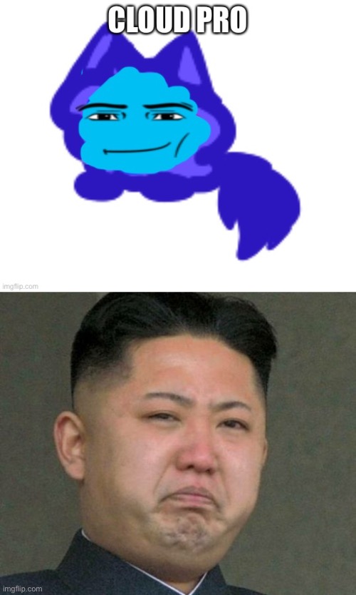 MSMG doesn’t know how to make memes | image tagged in kim jun un gross | made w/ Imgflip meme maker