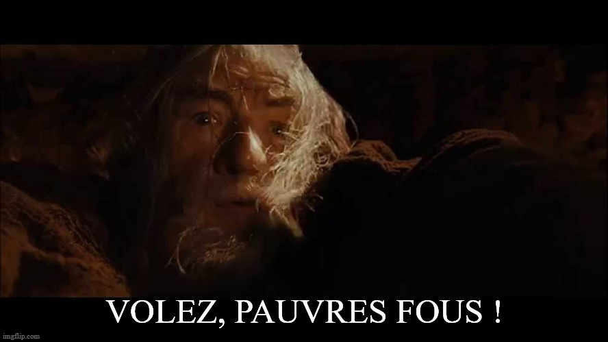 Gandalf fly you fools | VOLEZ, PAUVRES FOUS ! | image tagged in gandalf fly you fools | made w/ Imgflip meme maker