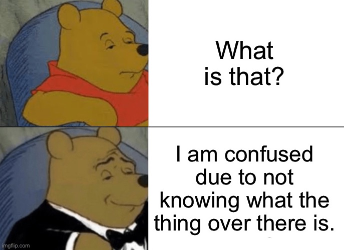 Tuxedo Winnie The Pooh | What is that? I am confused due to not knowing what the thing over there is. | image tagged in memes,tuxedo winnie the pooh,funny | made w/ Imgflip meme maker