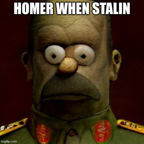 HOMER WHEN STALIN | made w/ Imgflip meme maker