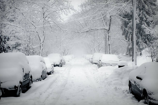 Snowed in Cars Blank Meme Template