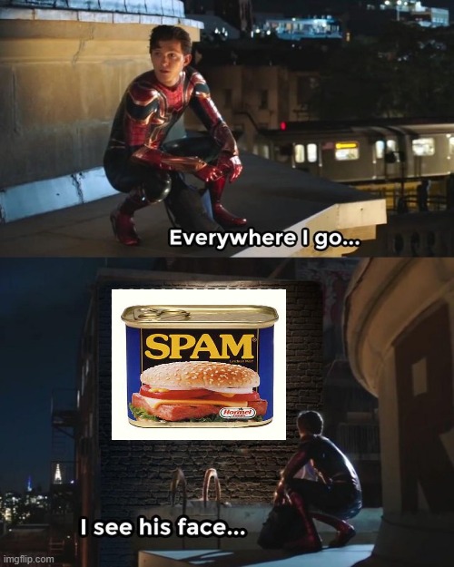 Everywhere I Go on IMGFLIP...ENOUGH SPAM Jeez | image tagged in everywhere i look i see his face | made w/ Imgflip meme maker