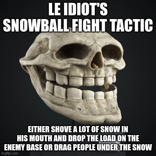 Homo Trollius Skull | LE IDIOT'S SNOWBALL FIGHT TACTIC; EITHER SHOVE A LOT OF SNOW IN HIS MOUTH AND DROP THE LOAD ON THE ENEMY BASE OR DRAG PEOPLE UNDER THE SNOW | image tagged in homo trollius skull | made w/ Imgflip meme maker