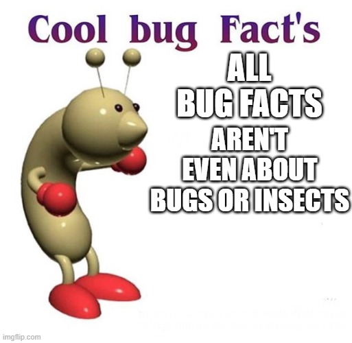 Valid Point | ALL BUG FACTS; AREN'T EVEN ABOUT BUGS OR INSECTS | image tagged in cool bug facts | made w/ Imgflip meme maker