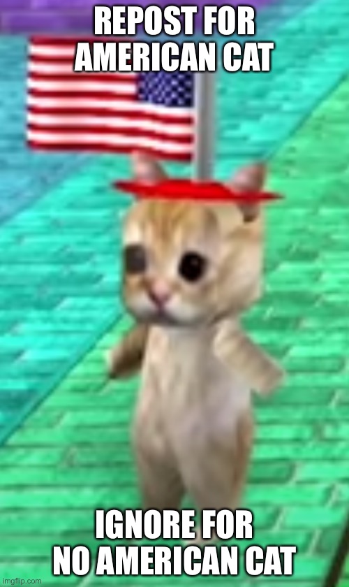 American cat | REPOST FOR AMERICAN CAT; IGNORE FOR NO AMERICAN CAT | image tagged in american cat | made w/ Imgflip meme maker