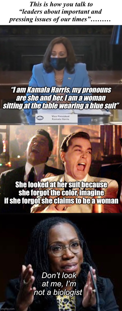 Pure genius | This is how you talk to “leaders about important and pressing issues of our times”………; “I am Kamala Harris, my pronouns are she and her, I am a woman sitting at the table wearing a blue suit”; She looked at her suit because she forgot the color, imagine if she forgot she claims to be a woman; Don’t look at me, I’m not a biologist | image tagged in memes,good fellas hilarious,politics lol | made w/ Imgflip meme maker