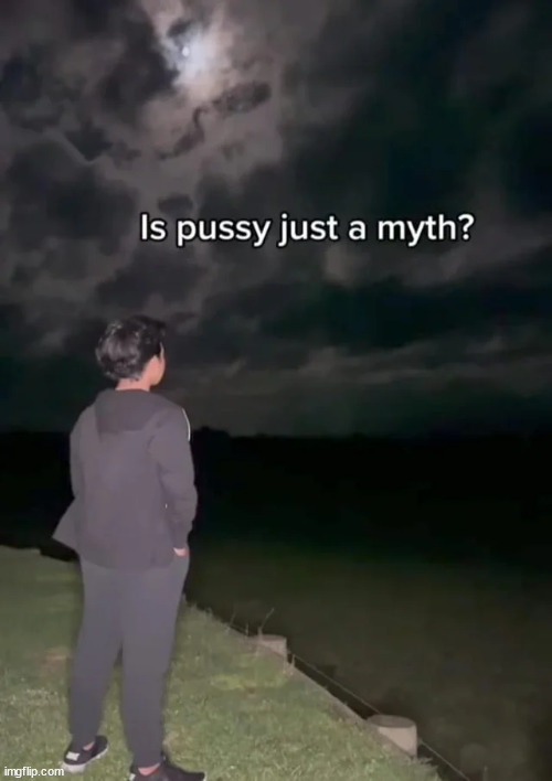 perhaps | image tagged in shitpost status | made w/ Imgflip meme maker