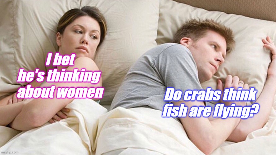 do fish fly? | I bet he's thinking 
about women; Do crabs think fish are flying? | image tagged in couple in bed | made w/ Imgflip meme maker