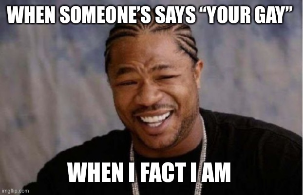 Yo Dawg Heard You | WHEN SOMEONE’S SAYS “YOUR GAY”; WHEN I FACT I AM | image tagged in memes,yo dawg heard you | made w/ Imgflip meme maker