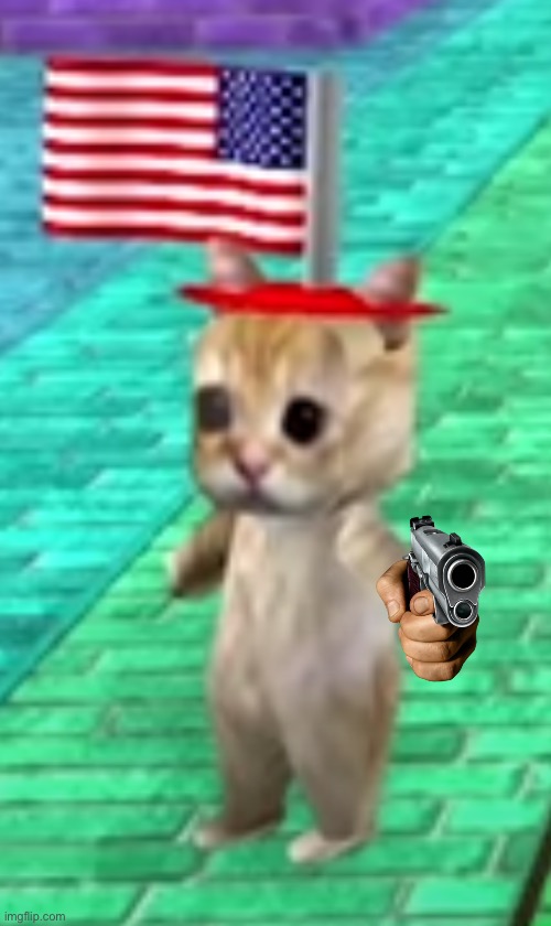 American cat | image tagged in american cat | made w/ Imgflip meme maker