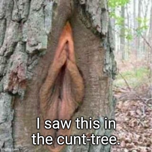 Cunt-Tree | I saw this in the cunt-tree. | image tagged in cunt,tree,memes,country,nsfw | made w/ Imgflip meme maker