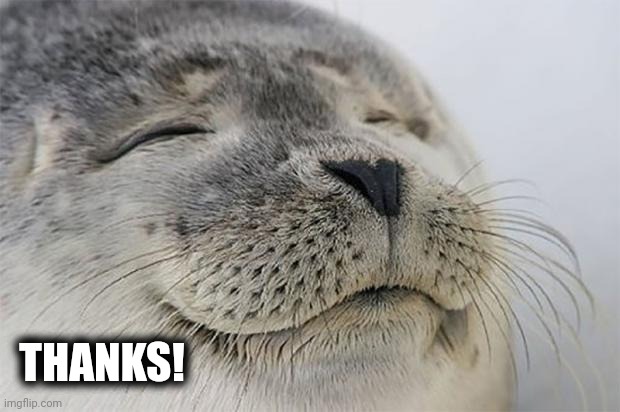 Satisfied Seal Meme | THANKS! | image tagged in memes,satisfied seal | made w/ Imgflip meme maker