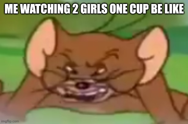 Remember two girls one cup? | ME WATCHING 2 GIRLS ONE CUP BE LIKE | image tagged in angry jerry,tom and jerry,warner bros,jerry,cringe | made w/ Imgflip meme maker