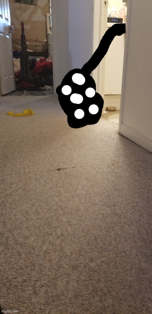 Bro why us this guy  in my downstairs hallway | made w/ Imgflip meme maker