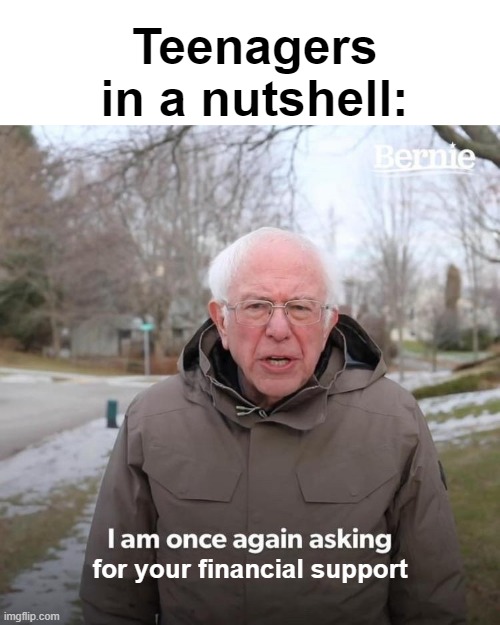 Bernie I Am Once Again Asking For Your Support Meme | Teenagers in a nutshell:; for your financial support | image tagged in memes,bernie i am once again asking for your support | made w/ Imgflip meme maker