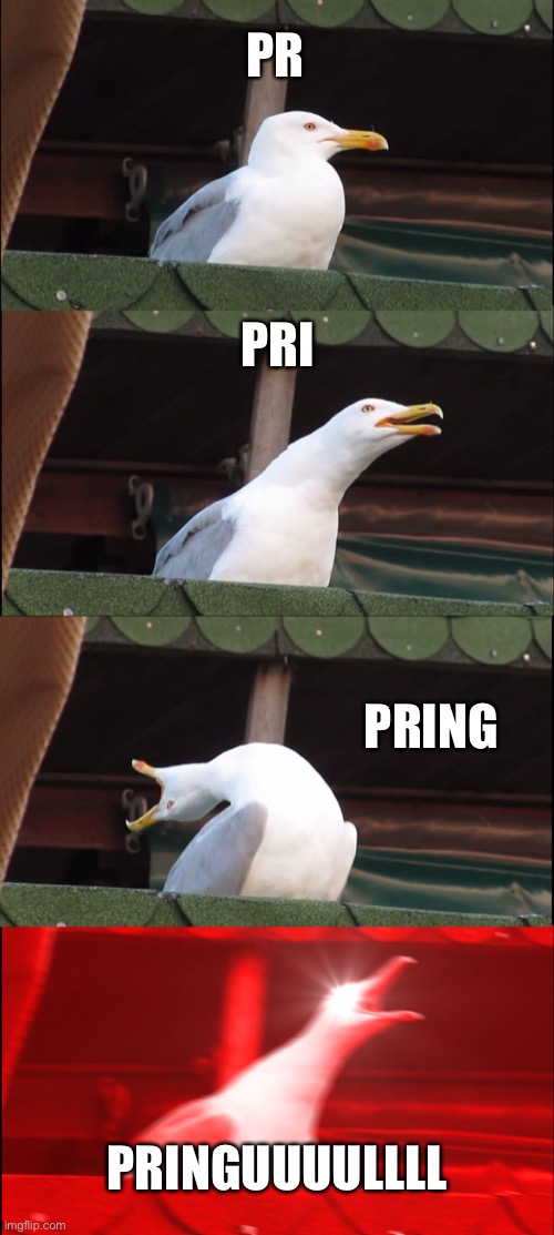 Pringle Seagull | PR; PRI; PRING; PRINGUUUULLLL | image tagged in memes,inhaling seagull,pringles | made w/ Imgflip meme maker