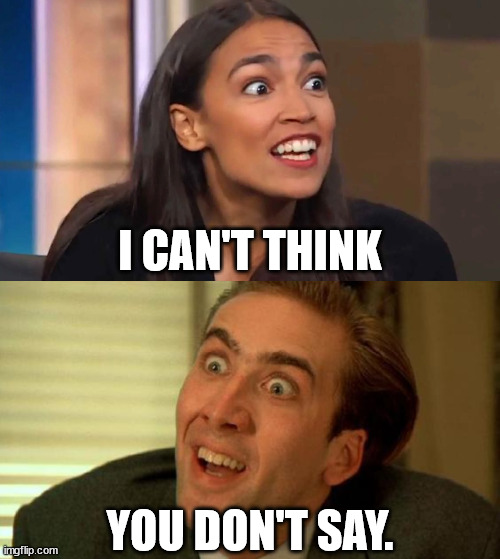 I agree with bbbadboy.  AOC is a clown and a performance artist.  She's still an idiot, an artistic idiot. | I CAN'T THINK; YOU DON'T SAY. | image tagged in crazy aoc,nicolas cage | made w/ Imgflip meme maker