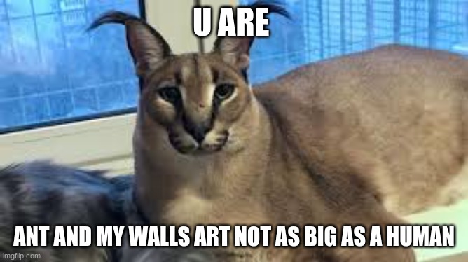 Floppa | U ARE ANT AND MY WALLS ART NOT AS BIG AS A HUMAN | image tagged in floppa | made w/ Imgflip meme maker