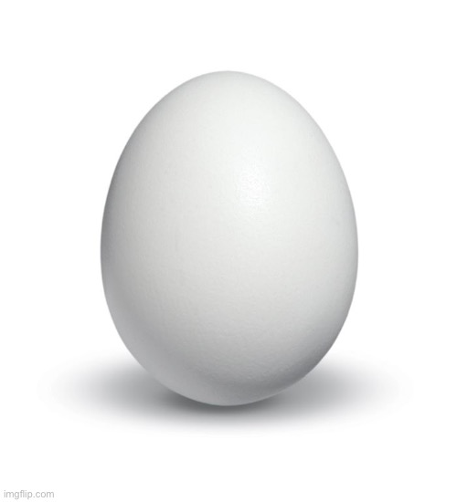 egg | image tagged in egg | made w/ Imgflip meme maker