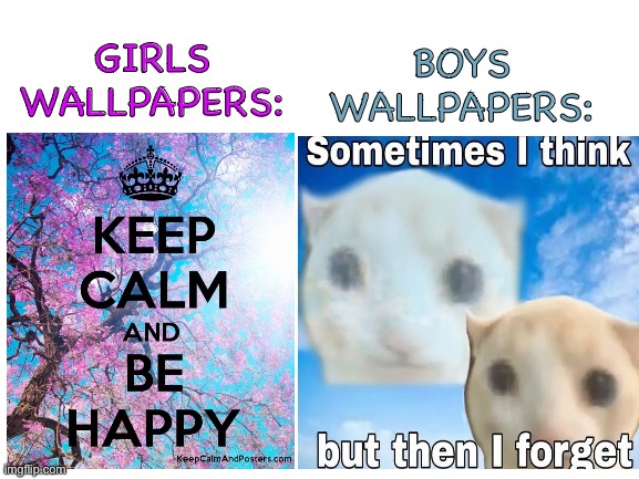Which one better | BOYS WALLPAPERS:; GIRLS WALLPAPERS: | image tagged in memes,boys vs girls,funny memes,gen z humor,cats | made w/ Imgflip meme maker