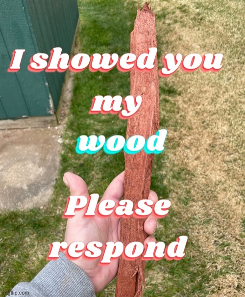 I showed you my | image tagged in i showed you my | made w/ Imgflip meme maker