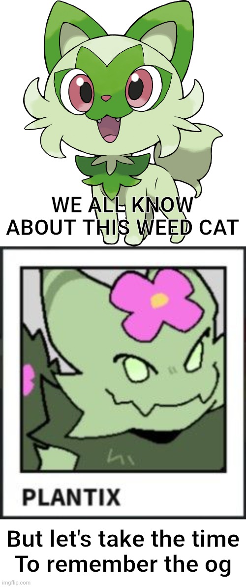 WE ALL KNOW ABOUT THIS WEED CAT; But let's take the time
To remember the og | image tagged in weed cat,memes,blank transparent square | made w/ Imgflip meme maker