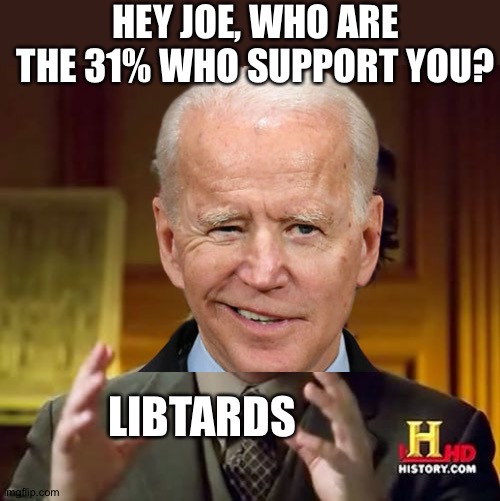 HEY JOE, WHO ARE THE 31% WHO SUPPORT YOU? LIBTARDS | image tagged in memes,ancient aliens | made w/ Imgflip meme maker