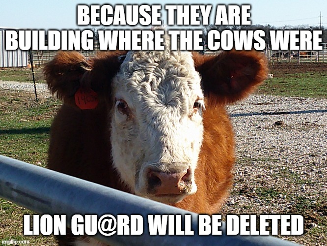 Cow | BECAUSE THEY ARE BUILDING WHERE THE COWS WERE; LION GU@RD WILL BE DELETED | image tagged in cow | made w/ Imgflip meme maker