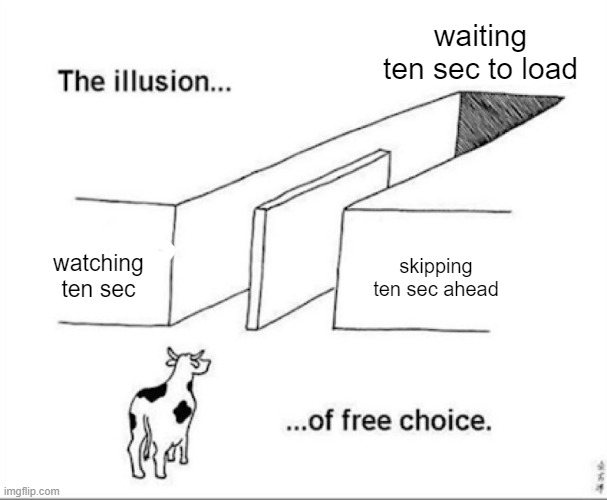 Illusion of free choice | waiting ten sec to load; skipping ten sec ahead; watching ten sec | image tagged in illusion of free choice | made w/ Imgflip meme maker