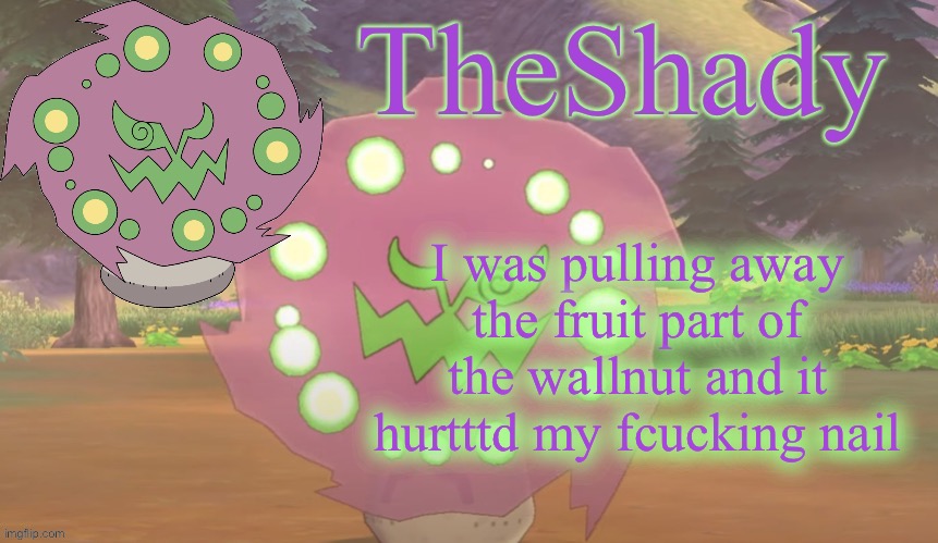 TheShady spiritomb temp | I was pulling away the fruit part of the wallnut and it hurtttd my fcucking nail | image tagged in theshady spiritomb temp | made w/ Imgflip meme maker