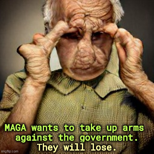 MAGA wants to take up arms 
against the government. They will lose. | image tagged in maga,revolution,fail,lose,prison | made w/ Imgflip meme maker