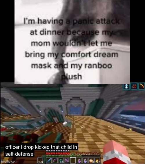 *disclaimer, just another joke* | image tagged in officer i drop kicked that child in self-defense,ranboo,dream | made w/ Imgflip meme maker