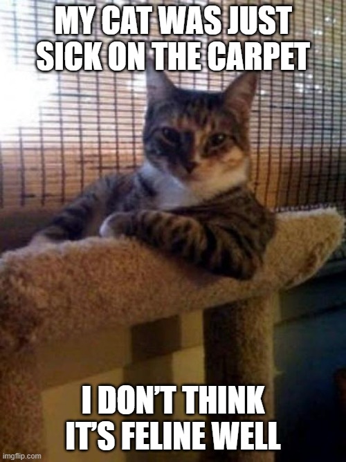 The Most Interesting Cat In The World | MY CAT WAS JUST SICK ON THE CARPET; I DON’T THINK IT’S FELINE WELL | image tagged in memes,the most interesting cat in the world | made w/ Imgflip meme maker