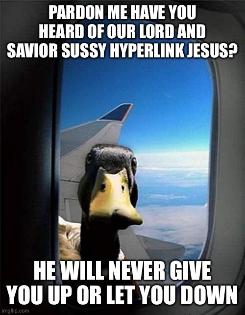 Duckroll | PARDON ME HAVE YOU HEARD OF OUR LORD AND SAVIOR SUSSY HYPERLINK JESUS? HE WILL NEVER GIVE YOU UP OR LET YOU DOWN | image tagged in duck,rickroll | made w/ Imgflip meme maker