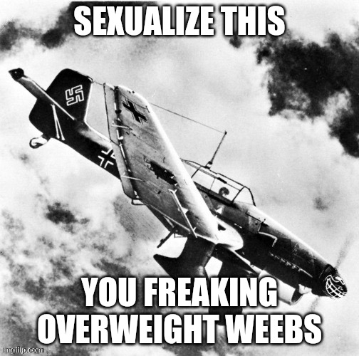 Troll Stuka | SEXUALIZE THIS YOU FREAKING OVERWEIGHT WEEBS | image tagged in troll stuka | made w/ Imgflip meme maker