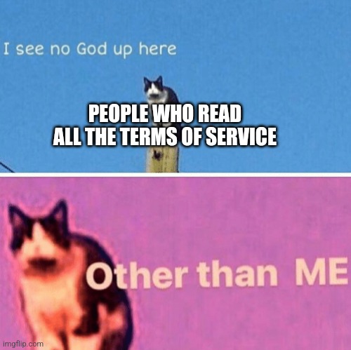 Hail pole cat | PEOPLE WHO READ ALL THE TERMS OF SERVICE | image tagged in hail pole cat | made w/ Imgflip meme maker