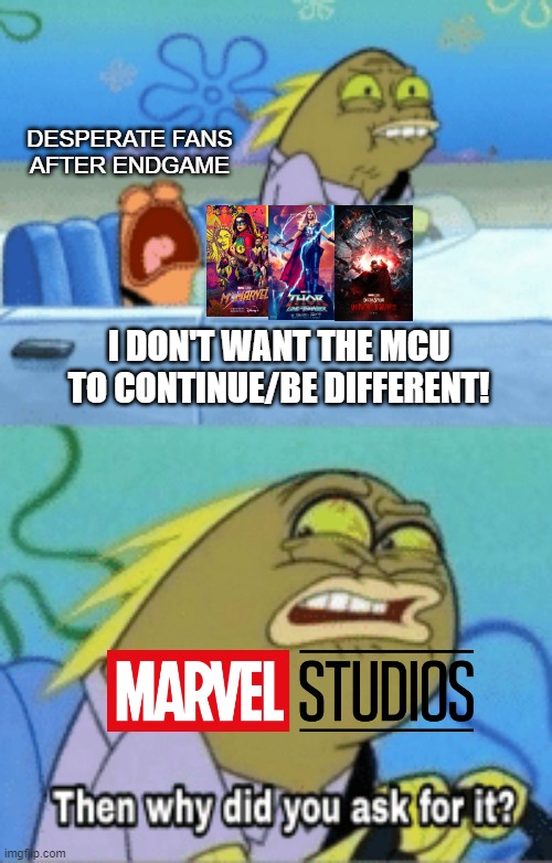 Basically MCU Phase 4 |  DESPERATE FANS AFTER ENDGAME; I DON'T WANT THE MCU TO CONTINUE/BE DIFFERENT! | image tagged in then why did you ask for it,mcu,marvel cinematic universe,marvel,marvel comics,fandom | made w/ Imgflip meme maker
