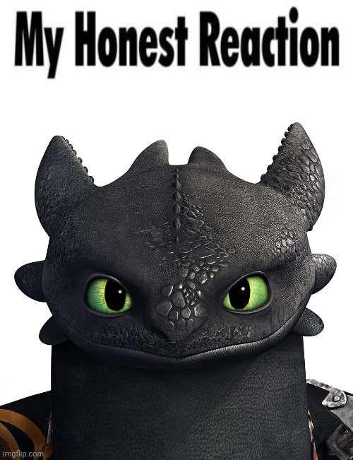 My honest Reaction (Toothless edition HTTYD) | image tagged in my honest reaction toothless edition httyd | made w/ Imgflip meme maker