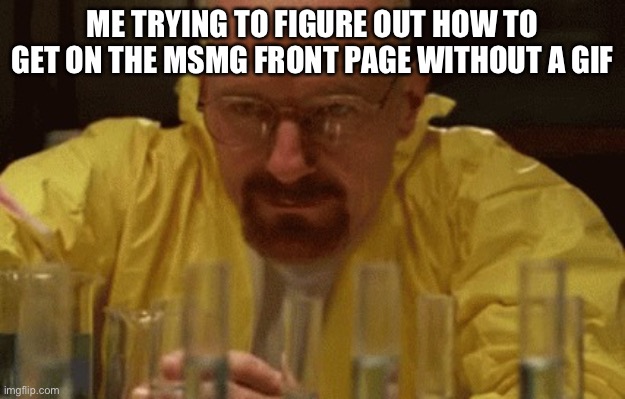 Walter White Cooking | ME TRYING TO FIGURE OUT HOW TO GET ON THE MSMG FRONT PAGE WITHOUT A GIF | image tagged in walter white cooking | made w/ Imgflip meme maker