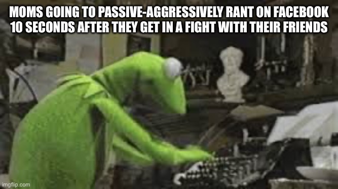 Brenda, Amber, and Karen | MOMS GOING TO PASSIVE-AGGRESSIVELY RANT ON FACEBOOK 10 SECONDS AFTER THEY GET IN A FIGHT WITH THEIR FRIENDS | image tagged in kermit typing | made w/ Imgflip meme maker