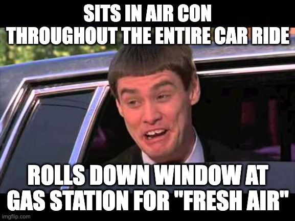 GASOLINA | SITS IN AIR CON THROUGHOUT THE ENTIRE CAR RIDE; ROLLS DOWN WINDOW AT GAS STATION FOR "FRESH AIR" | image tagged in lloyd head out window limosin | made w/ Imgflip meme maker