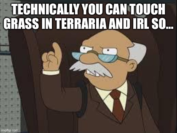Technically Correct | TECHNICALLY YOU CAN TOUCH GRASS IN TERRARIA AND IRL SO… | image tagged in technically correct | made w/ Imgflip meme maker