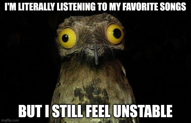 Crazy | I'M LITERALLY LISTENING TO MY FAVORITE SONGS; BUT I STILL FEEL UNSTABLE | image tagged in memes,weird stuff i do potoo | made w/ Imgflip meme maker
