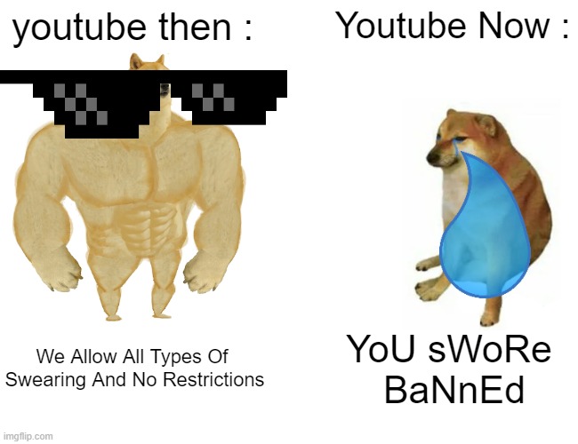 Rtrtjeario | youtube then :; Youtube Now :; We Allow All Types Of 
Swearing And No Restrictions; YoU sWoRe 
BaNnEd | image tagged in memes,buff doge vs cheems,youtube | made w/ Imgflip meme maker