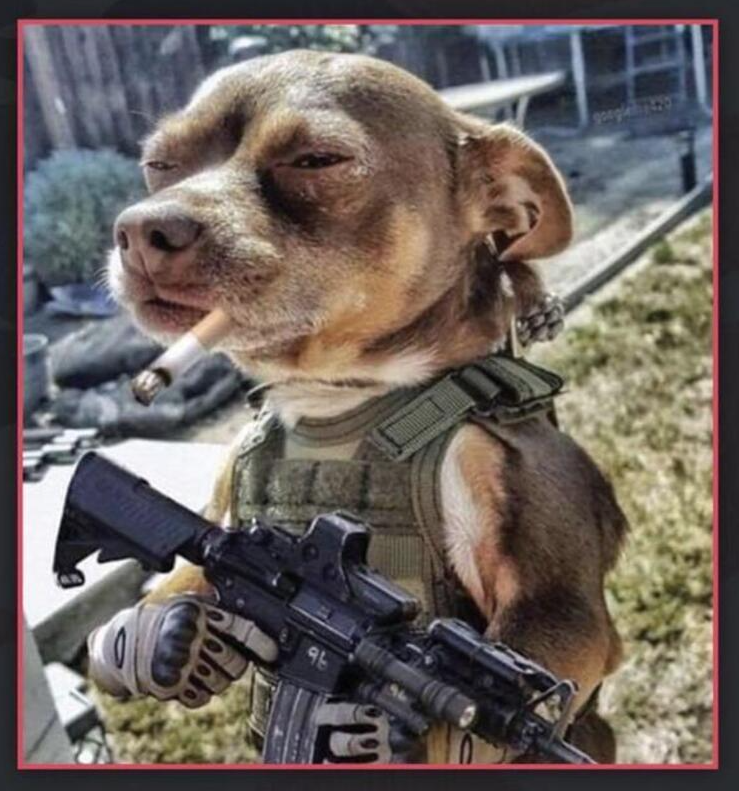 Tactical Dog Blank Meme Template