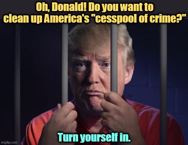 America's One Man Cesspool of Crime | Oh, Donald! Do you want to clean up America's "cesspool of crime?"; Turn yourself in. | image tagged in trump in jail,trump,criminal,cesspool,crime | made w/ Imgflip meme maker