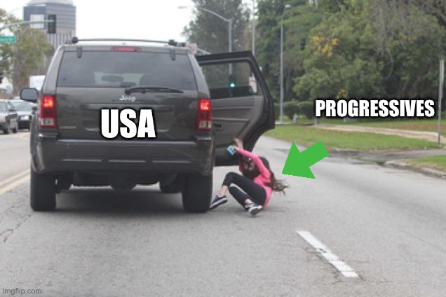 Kicked Out of Car | PROGRESSIVES USA | image tagged in kicked out of car | made w/ Imgflip meme maker